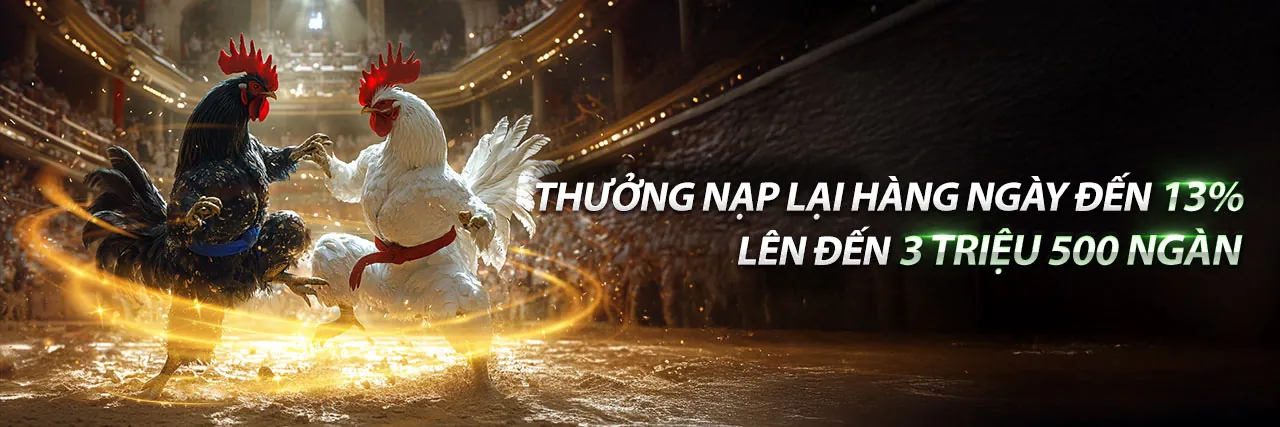 Đấu trường đá gà trực tuyến sôi động tại BJ88