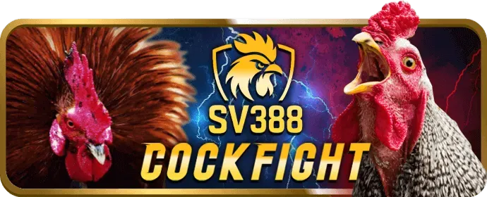 Kèo Meron trong đá gà BJ88